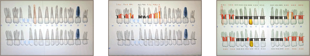 sonda_florida_minis
